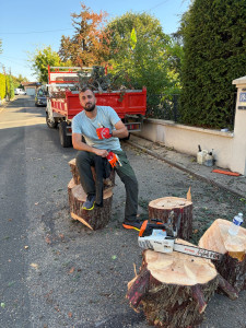 Photo de galerie - Elagage et coupe d'arbres