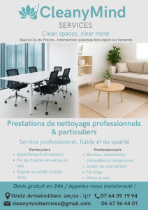 Photo de galerie - Flyer de Cleanymind Services 