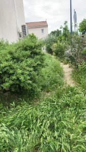 Photo de galerie - Avant 