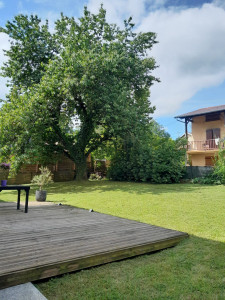 Photo de galerie - Tonte de pelouse 