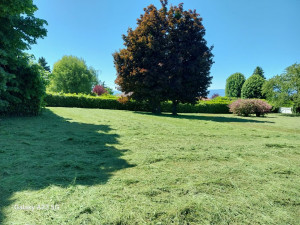 Photo de galerie - Tonte de pelouse - Débroussaillage