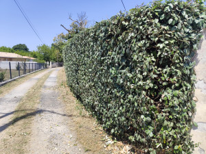 Photo de galerie - Après 