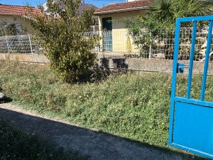 Photo de galerie - Paysagiste entretien de jardin 