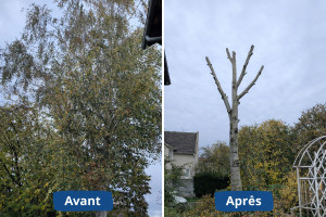 Photo de galerie - Taille de boulot passage de 9 m à 5