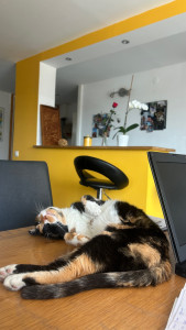 Photo de galerie - Garde de Maya 