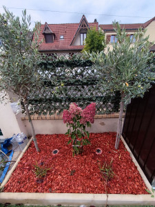 Photo de galerie - Aménagement 