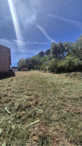 Photo de galerie - APRÈS - fin de débroussaillage de terrain avant évacuation des déchets verts ! une partie du travail réalisé ce jour