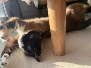 Photo de galerie - Sacha