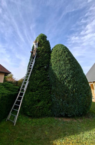 Photo de galerie - Taille 