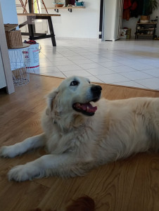 Photo de galerie - La calme Naya