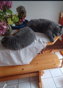 Photo de galerie - Frère et soeur