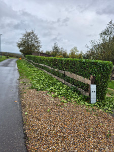 Photo de galerie - Taille de haie 