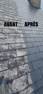 Photo de galerie - Application d’un hydrofuge coloré ( gris ARD ) pour aider à l’étanchéité d’une toiture, garantir un prolongement de vie de la toiture, et surtout une nouvelle beauté 