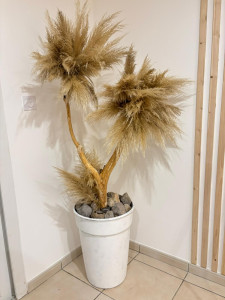 Photo de galerie - Arbre d'intérieur