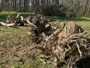 Photo de galerie - Paysagiste - Aménagement du jardin