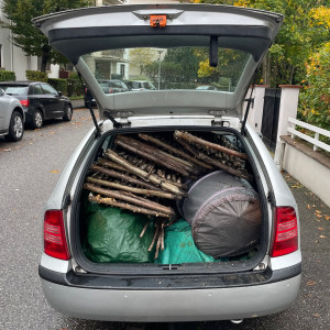 Photo de galerie - Bois et végétaux