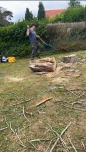 Photo de galerie - Elagage et coupe d'arbres
