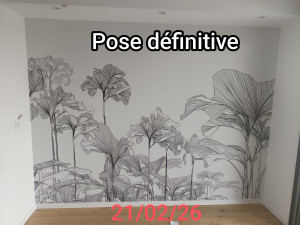 Photo de galerie - Pose de papier peint très particulier. 