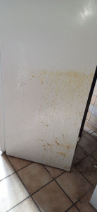 Photo de galerie - Nettoyage d'un frigo 
