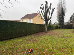 Photo de galerie - élagage 