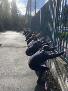 Photo de galerie - Séance collective 