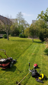 Photo de galerie - Détourage + tonte pelouse 