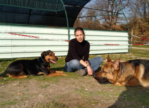 Photo de galerie - Votre animal se sentira comme chez vous (câlins, promenades et jeux au programme)