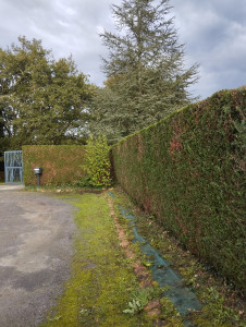 Photo de galerie - Tout type de taille