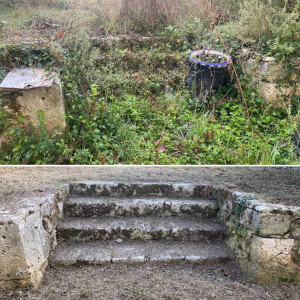 Photo de galerie - Jardinier