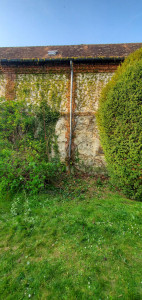 Photo de galerie - Après  elegage 