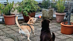 Photo de galerie - La 