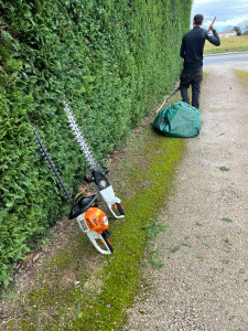 Photo de galerie - Taille de haies 