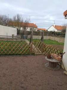 Photo de galerie - Garde chien