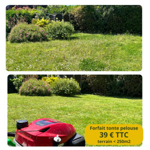 Photo de galerie - Tonte de pelouse à Orvault