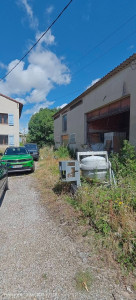 Photo de galerie - Tonte de pelouse - Débroussaillage