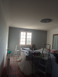 Photo de galerie - Peinture mur plafond 