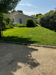 Photo de galerie -  tonte 