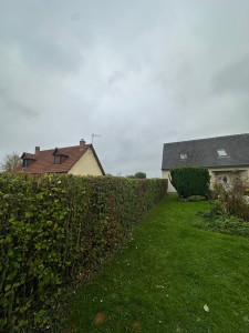 Photo de galerie - Taille d’une haie champêtre 