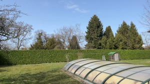 Photo de galerie - Taille de haie