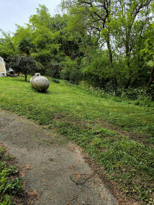 Photo de galerie - Tonte