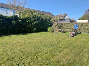 Photo de galerie - Tonte de pelouse