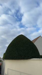 Photo de galerie - Paysagiste - Aménagement du jardin