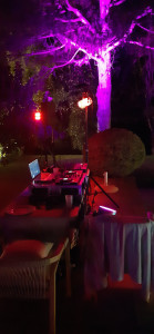 Photo de galerie - DJ - Disc Jockey