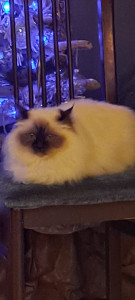 Photo de galerie - Repos