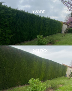 Photo de galerie - Paysagiste - Aménagement du jardin