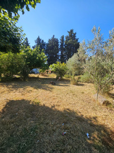 Photo de galerie - Tonte de pelouse - Débroussaillage