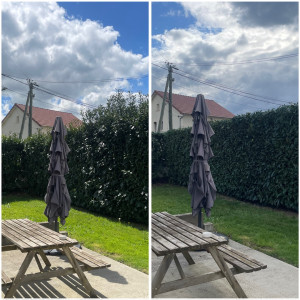 Photo de galerie - Taille propre d’un laurier