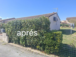 Photo de galerie - Taille de haies et d'arbustes