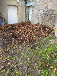 Photo de galerie - Jardinier