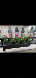 Photo de galerie - Jardinier